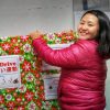 ボランティアプロフィール:2017年度ホリデードライブ・チーム Holiday Drive 2018