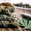 A snapshot of the new cannabis laws CanabisCA2