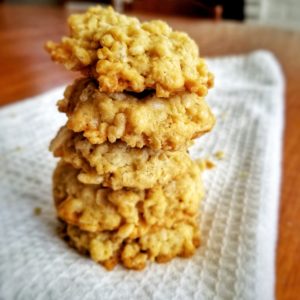 Stack of Oat Cookies